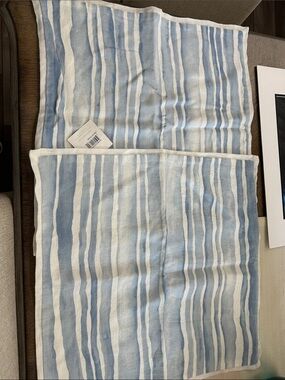 Serena & Lily Light Blue and White Striped Cotton Shams (2)